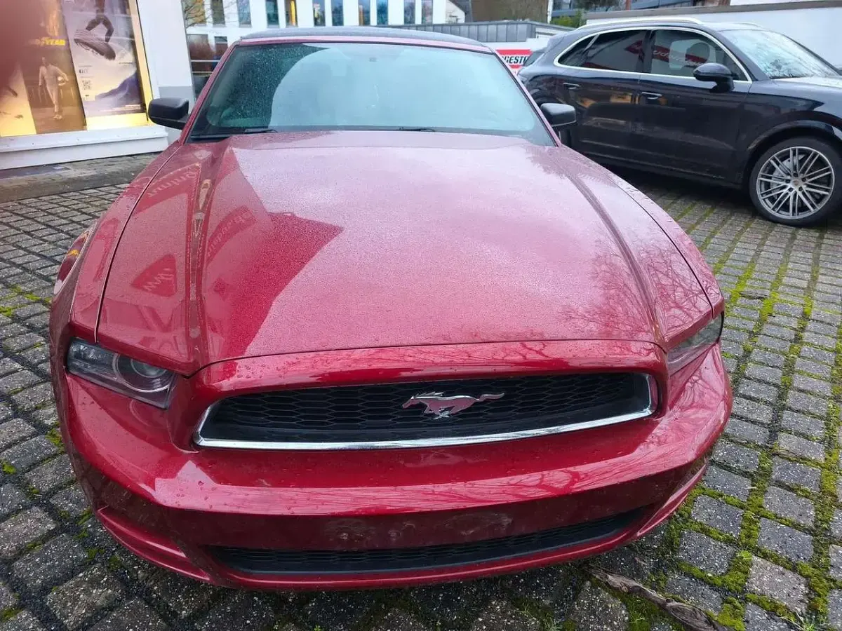 Gebraucht Ford Mustang 309 PS (227 kW) 2014 Rot Cabrio