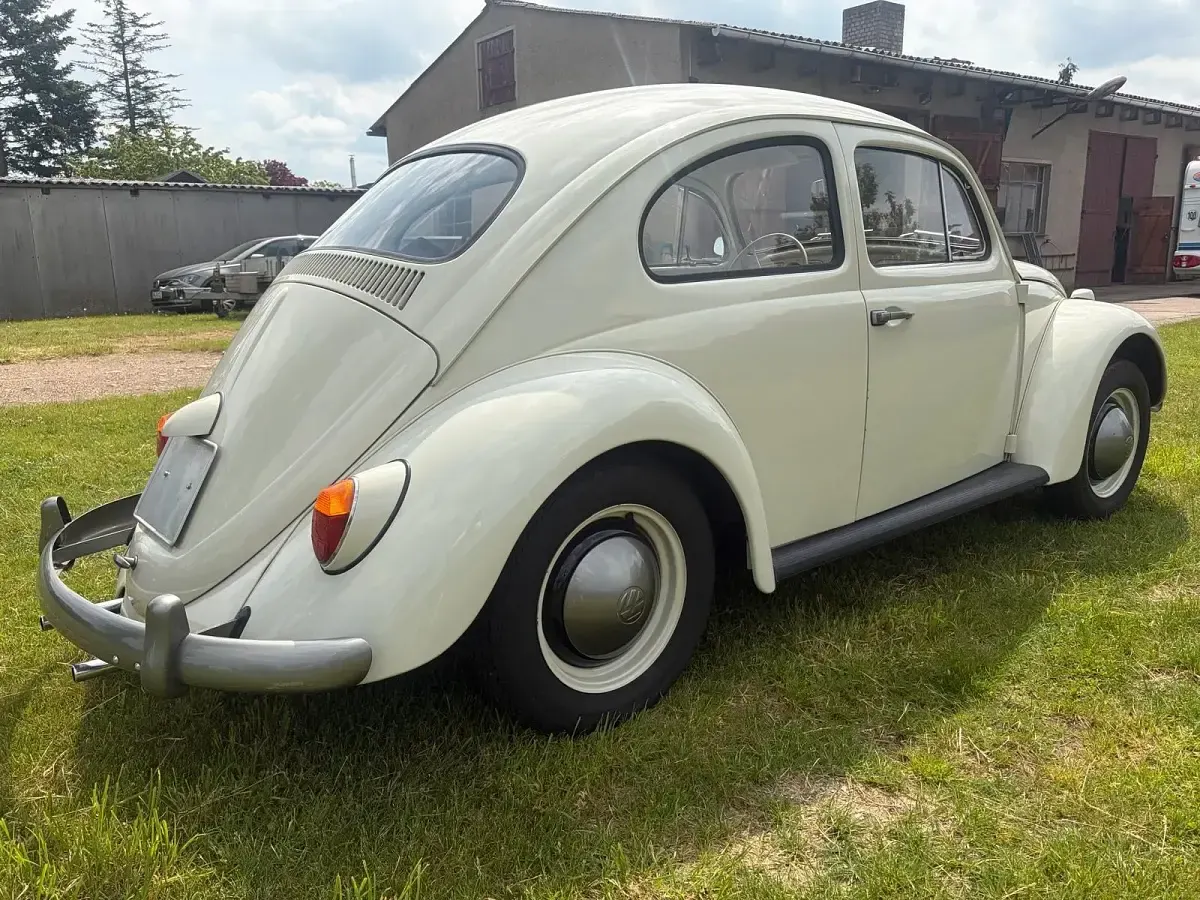 Gebraucht VW Käfer 30 PS (22 kW) 1963 Beige