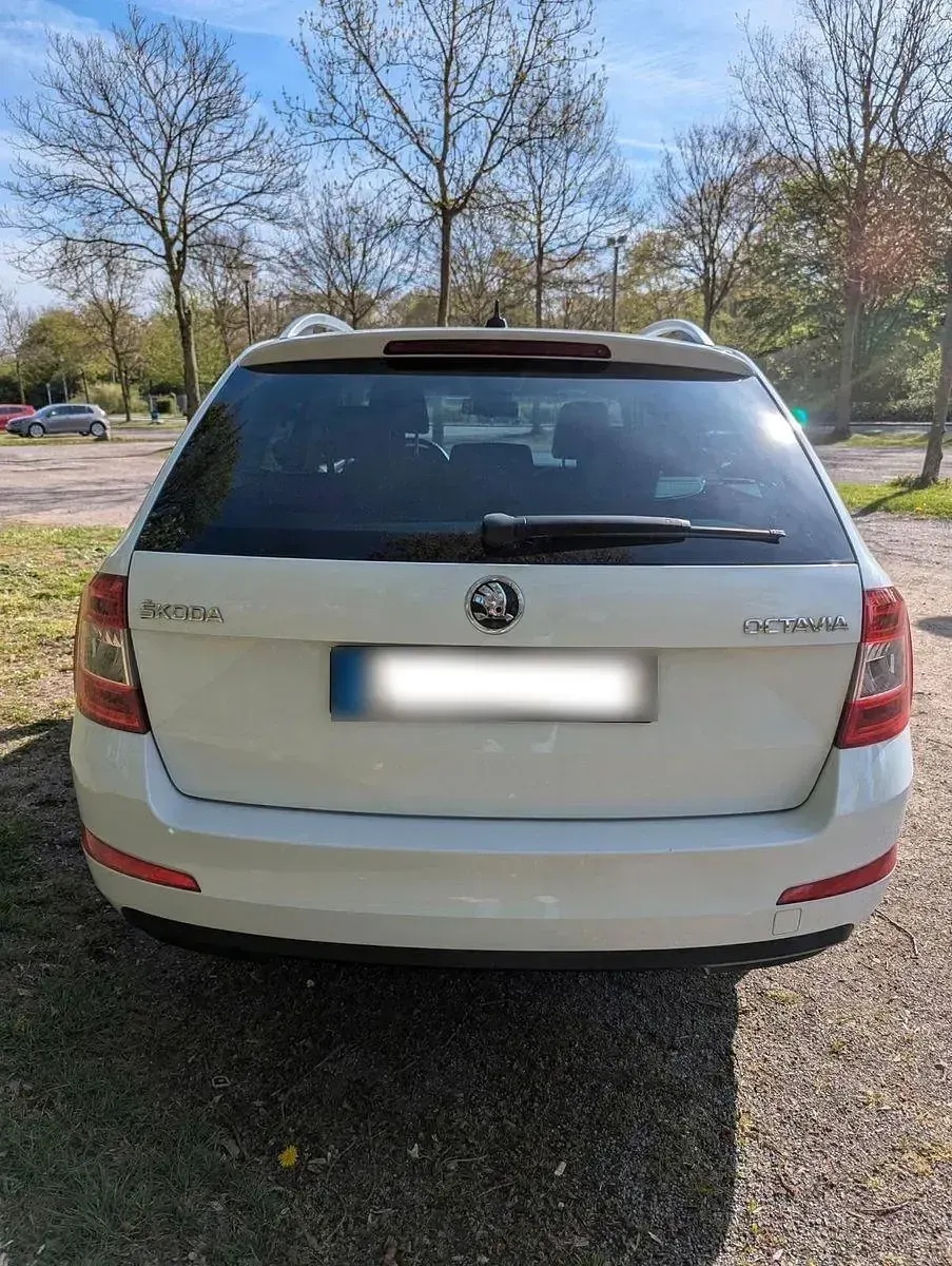 Gebraucht Skoda Octavia Elegance 179 PS (131 kW) 2015 Weiß Kleinwagen