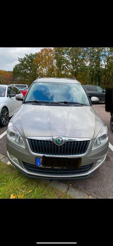 Silber Gebraucht 2012 Skoda Roomster Elegance Kombi | 8.500 € (Fairer Preis) - Bild 1/4