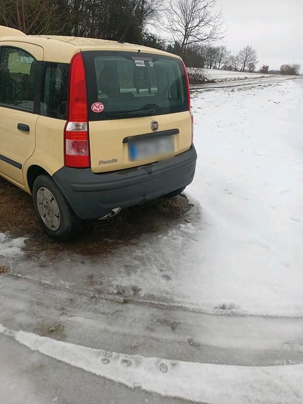 Gebraucht Fiat Panda 54 PS (39 kW) 2009 Beige Kleinwagen