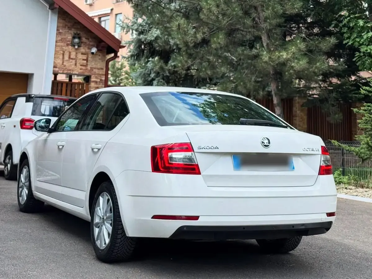 Gebraucht Skoda Octavia 115 PS (84 kW) 2019 Weiß Limousine