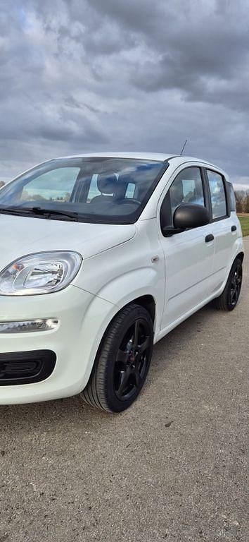 Gebraucht Fiat Panda Easy 69 PS (50 kW) 2014 Weiß Kleinwagen