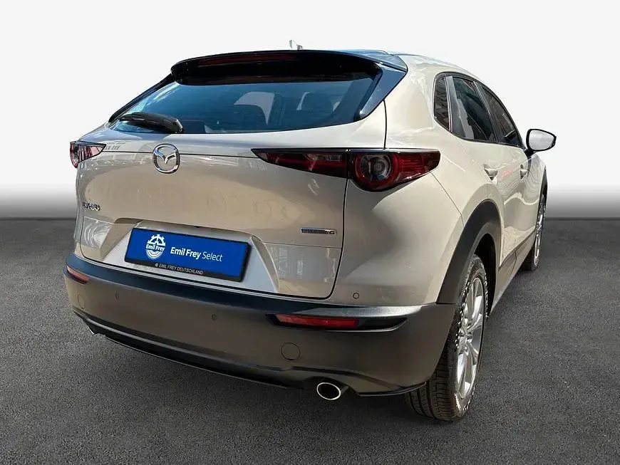Gebraucht Mazda CX-30 Selection 122 PS (89 kW) 2023 Grau SUV