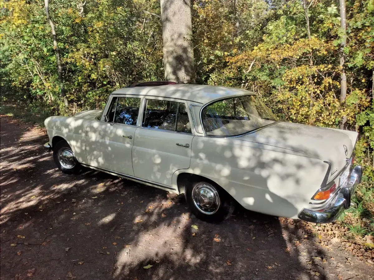 Gebraucht Mercedes 200 55 PS (40 kW) 1966 Limousine