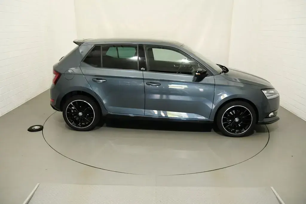Gebraucht Skoda Fabia Monte Carlo 110 PS (80 kW) 2020 Grau Kleinwagen