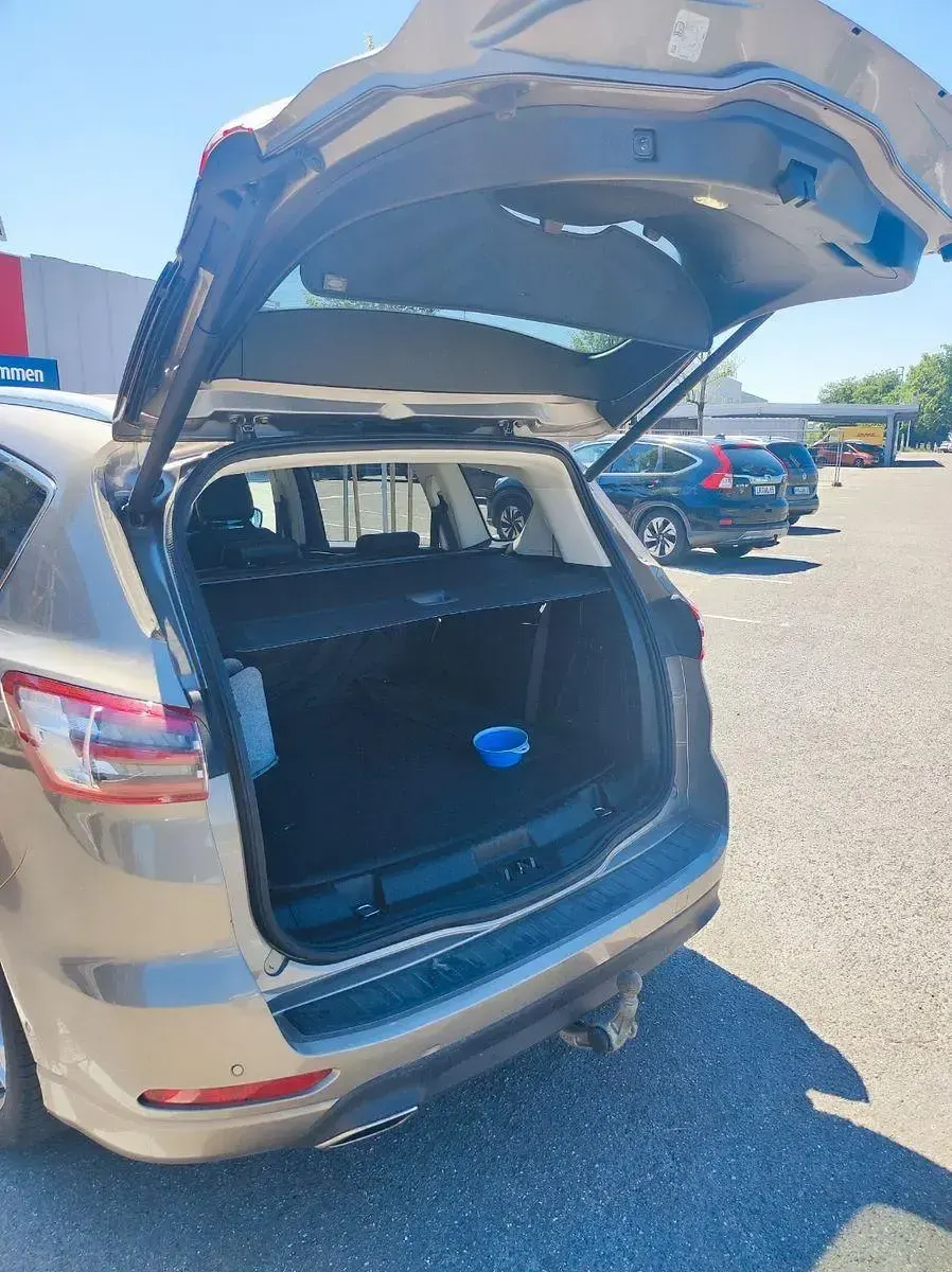 Gebraucht Ford S-MAX Titanium 241 PS (177 kW) 2019 Beige Van / Kleinbus