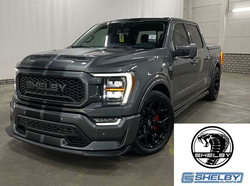 Grau Neu 2024 Ford Shelby SUV | 159.900 € - Bild 1/4