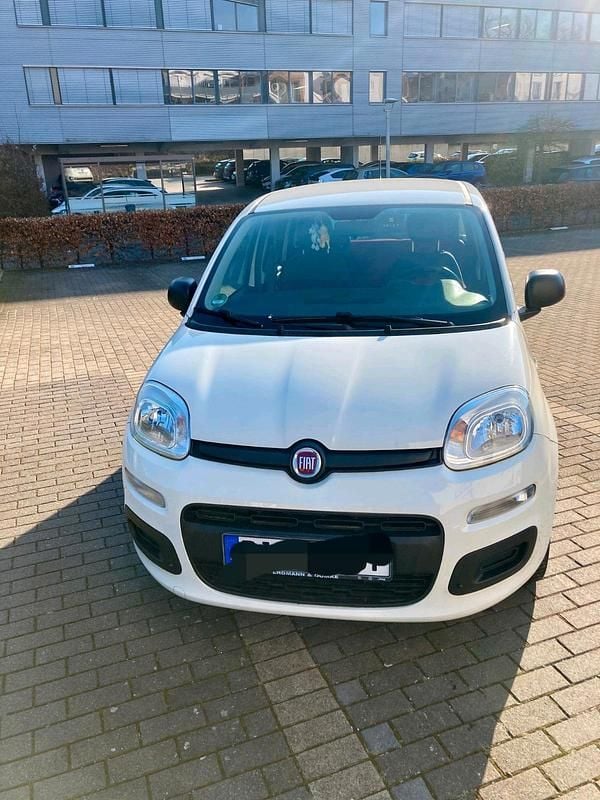 Gebraucht Fiat Panda 70 PS (51 kW) 2016 Weiß Kleinwagen