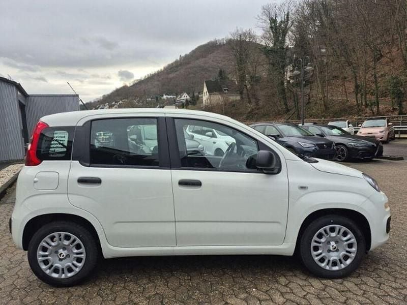 Neu Fiat Panda Icon 69 PS (50 kW) 2025 Weiss Limousine