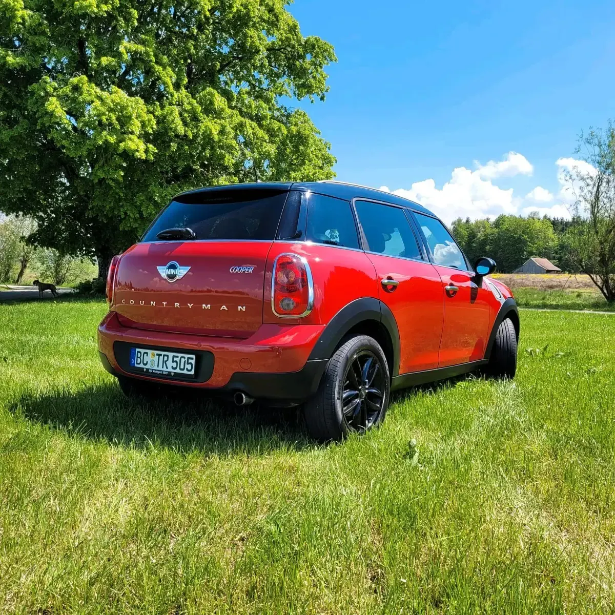 Occasion Mini Countryman 122 ch (89 kW) 2014 Rouge SUV