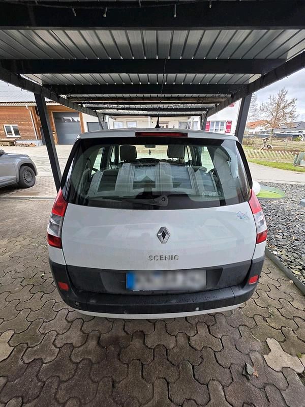 Gebraucht Renault Scénic II 113 PS (83 kW) 2006 Weiß Van / Kleinbus