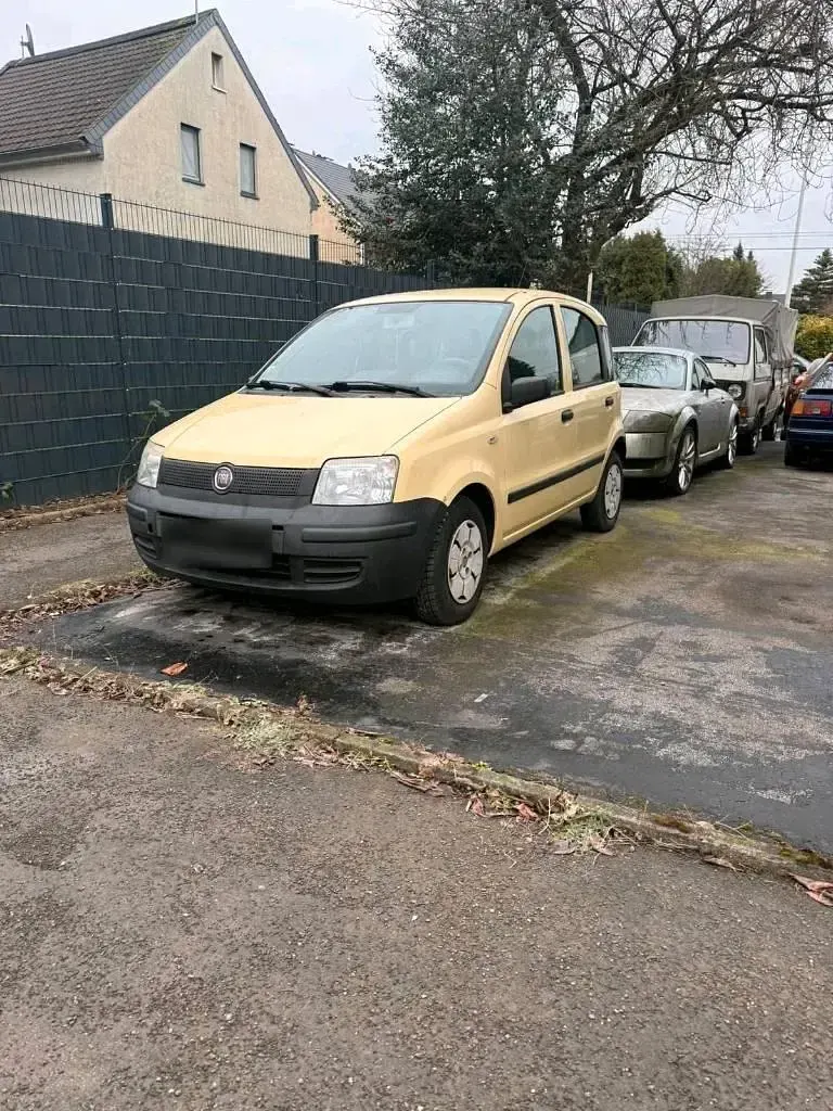 Occasion Fiat Panda 60 ch (44 kW) 2009 Jaune Citadine