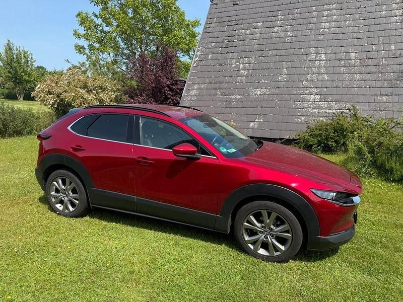 Gebraucht Mazda CX-30 Selection 150 PS (110 kW) 2020 Rot SUV