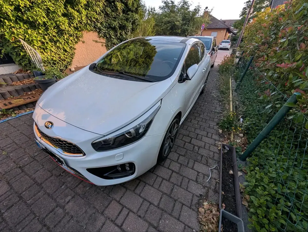 Gebraucht Kia Ceed GT GT 204 PS (150 kW) 2016 Weiß Coupé