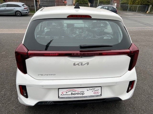 Neu Kia Picanto Vision 79 PS (58 kW) 2025 Weiß Kleinwagen