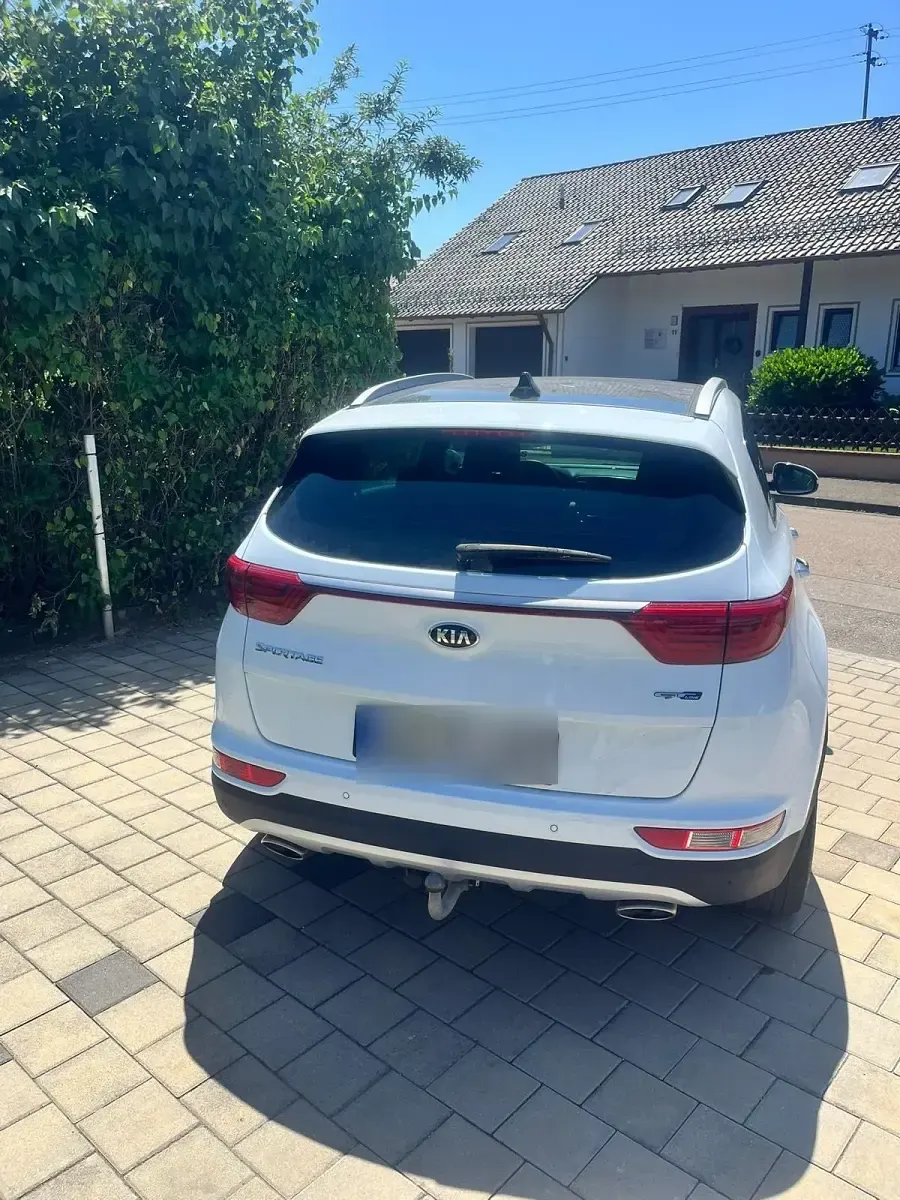 Gebraucht Kia Sportage 185 PS (136 kW) 2017 Weiß SUV