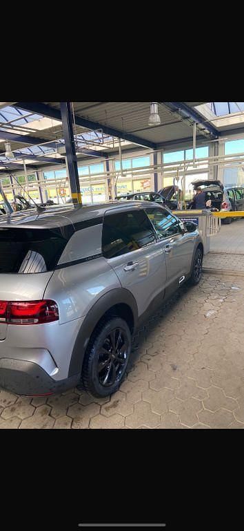 Gebraucht Citroën C4 Cactus Shine 120 PS (88 kW) 2019 Grau Kleinwagen