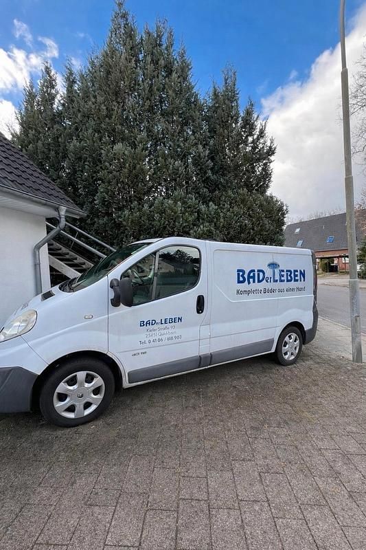 Usata Renault Trafic 145 CV (106 kW) 2012 Monovolume