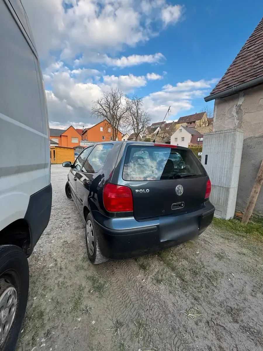 Usata VW Polo 60 CV (44 kW) 2001 Utilitaria