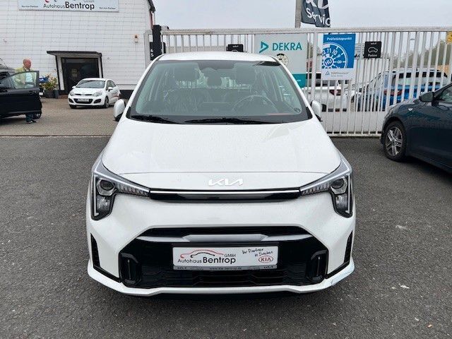 Neu Kia Picanto Vision 79 PS (58 kW) 2025 Weiß Kleinwagen