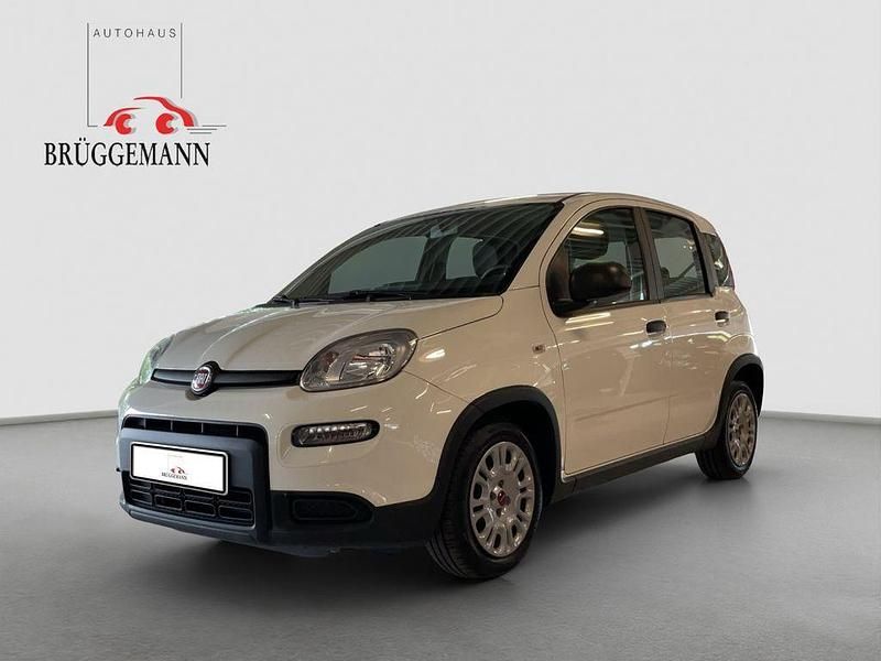 Gebraucht Fiat Panda 69 PS (50 kW) 2023 (weiss) Kleinwagen
