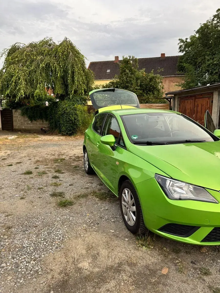 Gebraucht Seat Ibiza Reference 69 PS (50 kW) 2012 Grün Kleinwagen