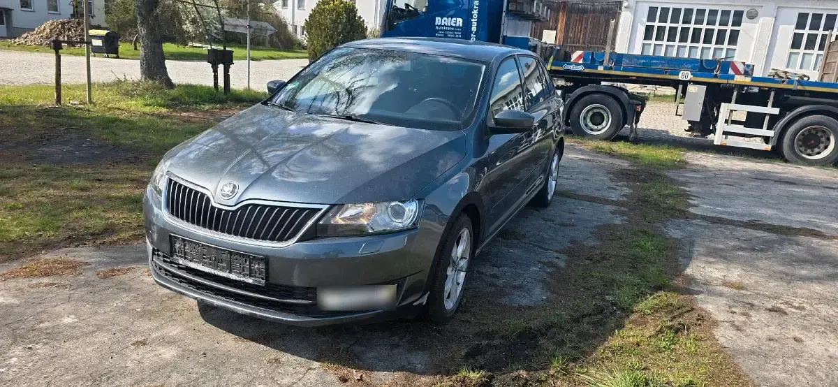 Usata Skoda Rapid 105 CV (77 kW) 2015 Grigio Utilitaria