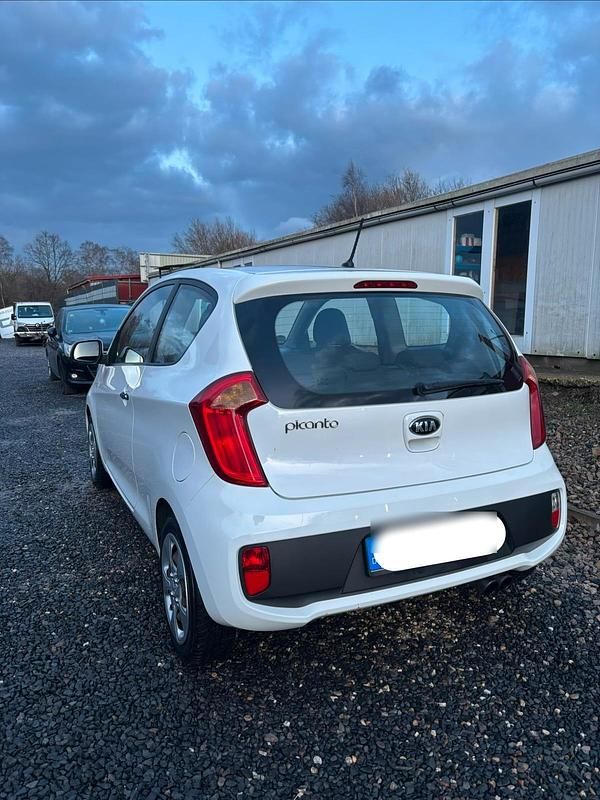 Gebraucht Kia Picanto 51 PS (37 kW) 2014 Weiß Kleinwagen