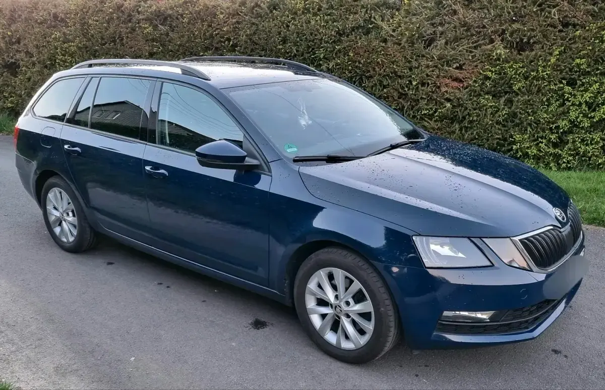 Gebraucht Skoda Octavia 110 PS (80 kW) 2018 Blau Kombi