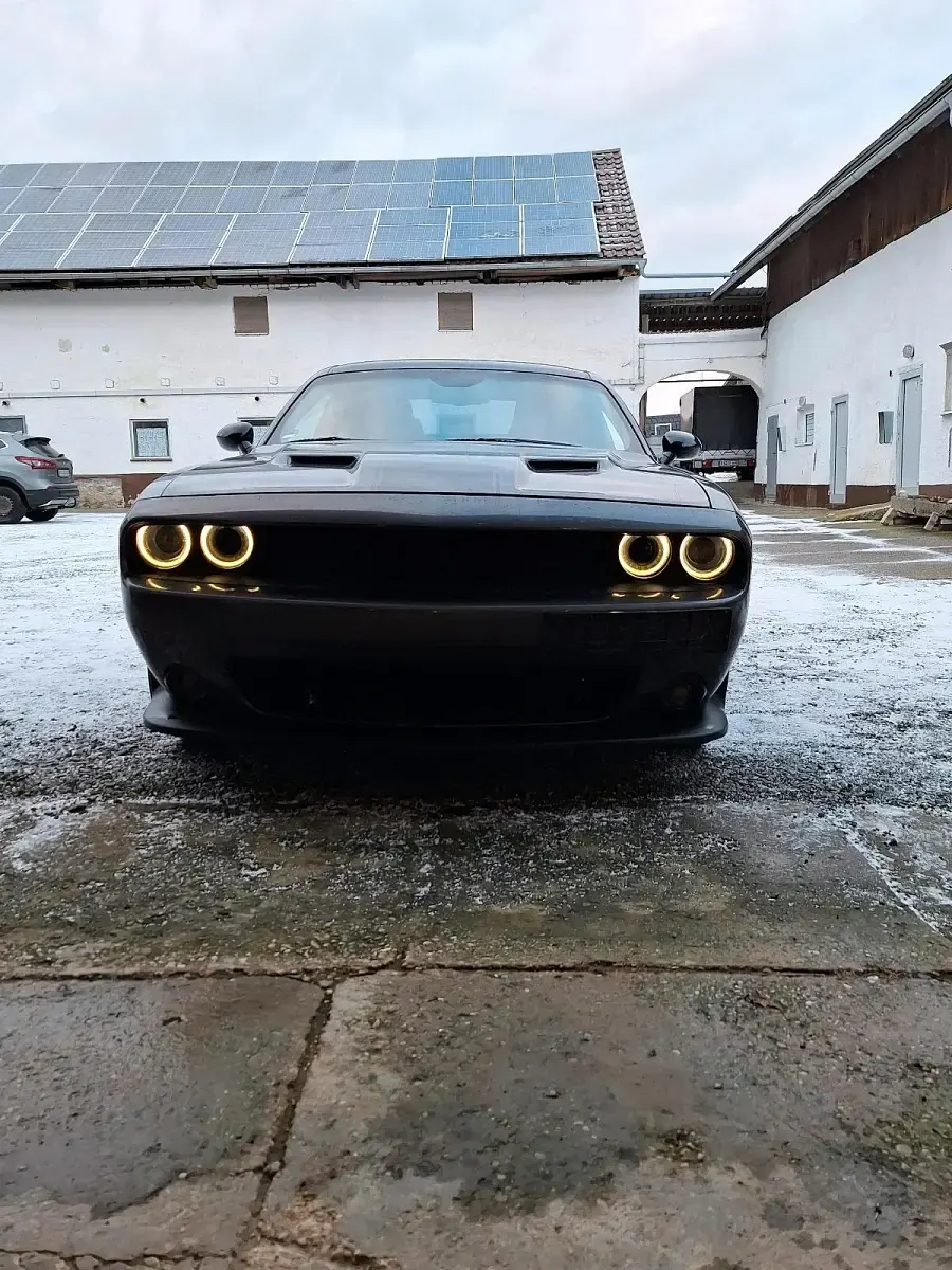 Usata Dodge Challenger 377 CV (277 kW) 2016 Grigio Coupé