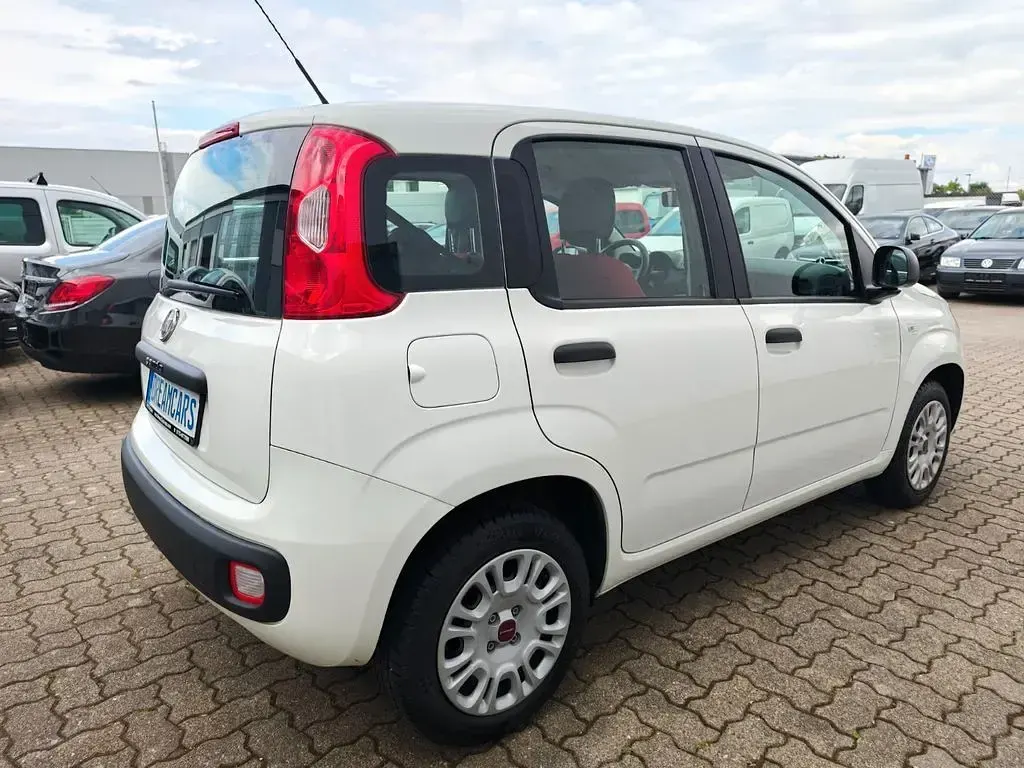 Usata Fiat Panda Easy 69 CV (50 kW) 2020 Bianco Utilitaria