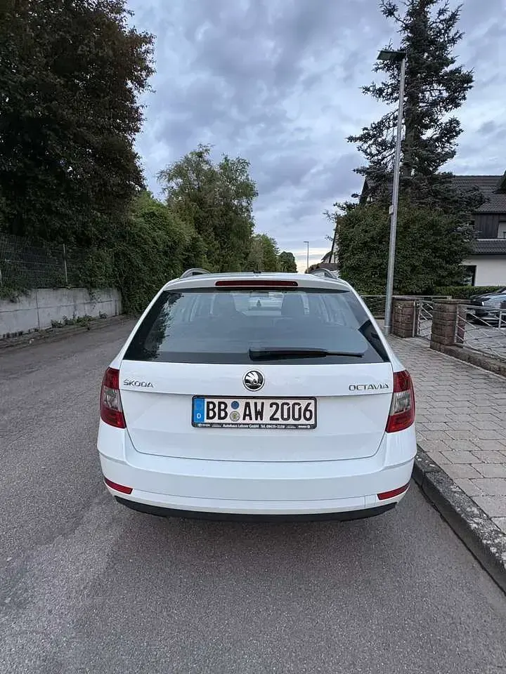 Gebraucht Skoda Octavia Active 86 PS (63 kW) 2017 Weiß Kombi