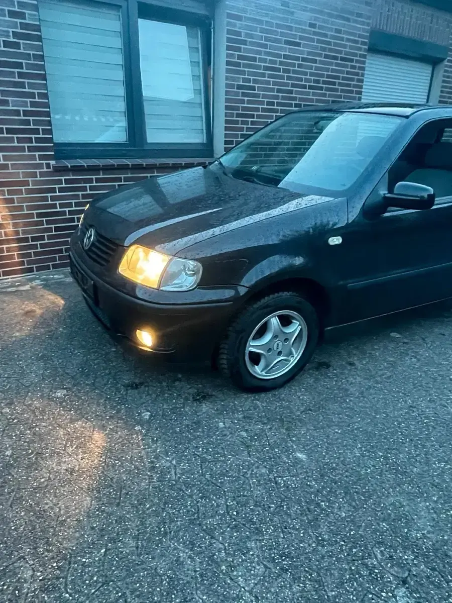 Gebraucht VW Polo 75 PS (55 kW) 2000 Schwarz Kleinwagen