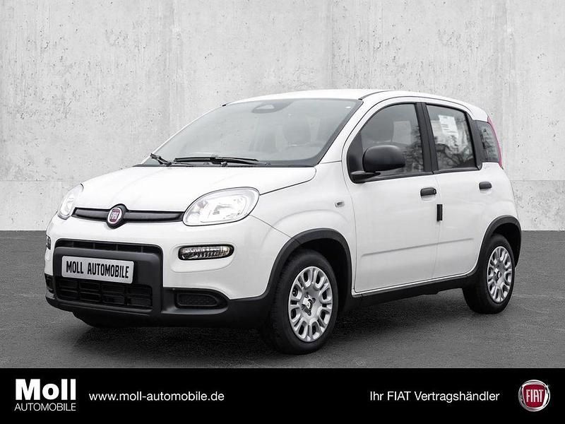 Weiss Gebraucht 2024 Fiat Panda Kleinwagen | 13.875 € (Fairer Preis) - Bild 1/4