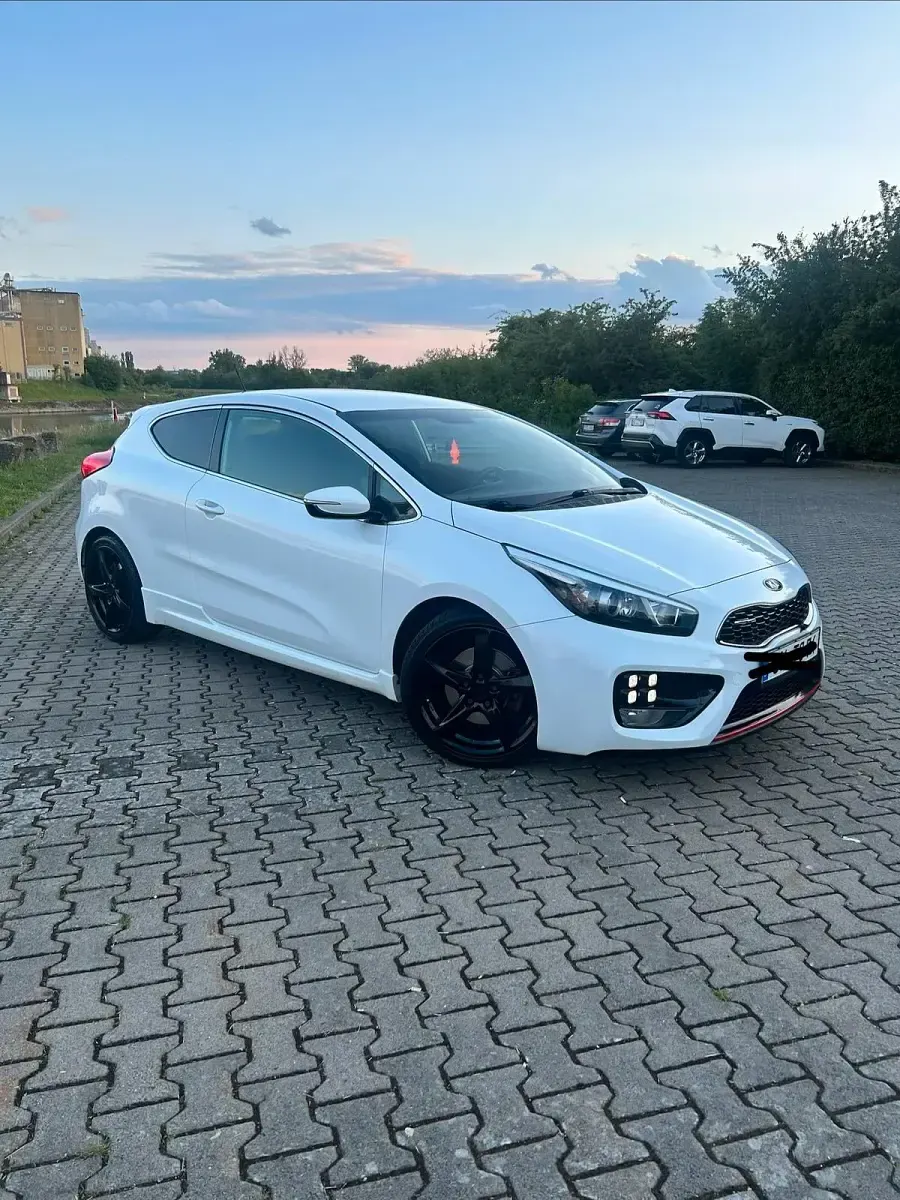 Gebraucht Kia Ceed GT-Track 204 PS (150 kW) 2014 Weiß Kleinwagen