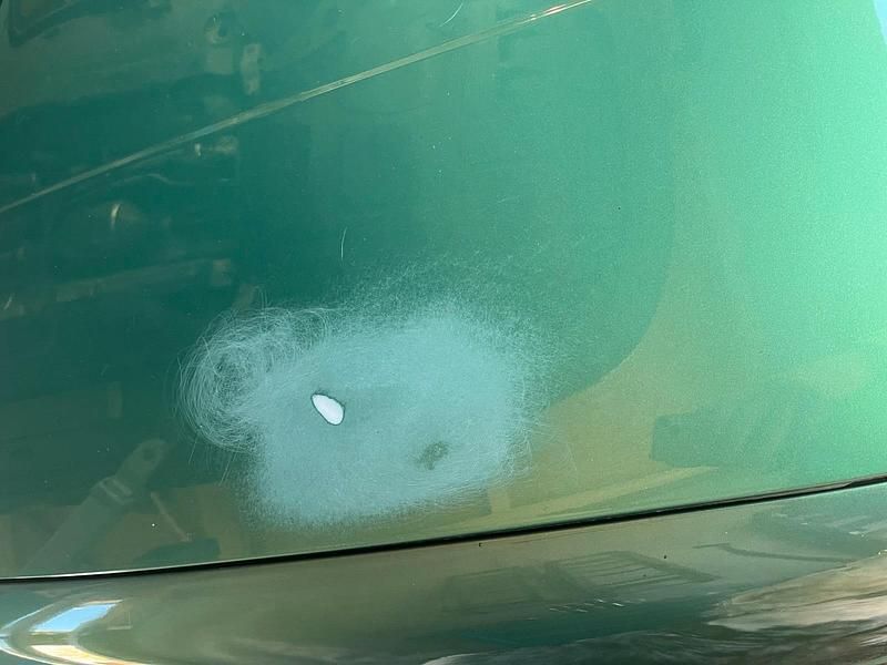 Gebraucht VW Golf IV 75 PS (55 kW) 2002 Grün Kleinwagen