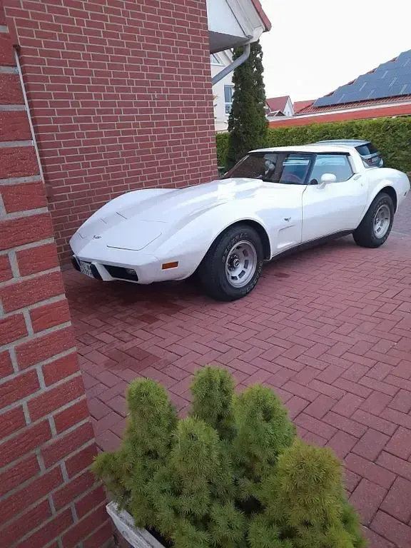 Gebraucht Corvette C3 194 PS (142 kW) 1979 Rot