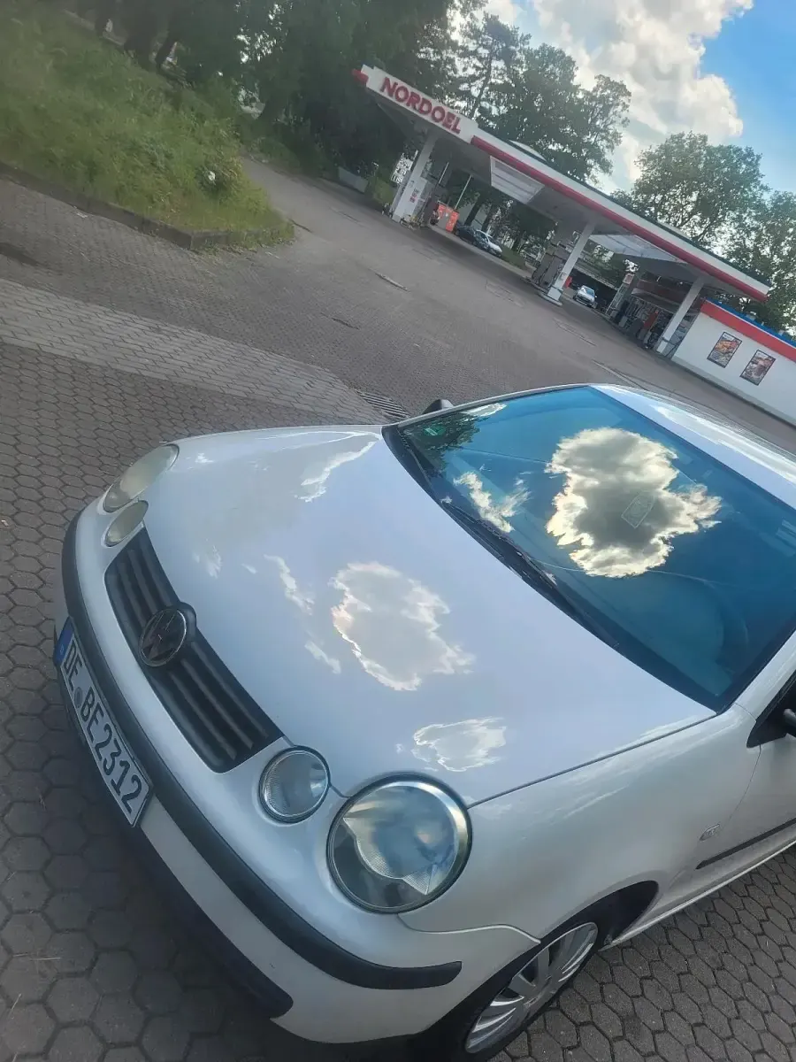 Gebraucht VW Polo 64 PS (47 kW) 2003 Weiß Kleinwagen
