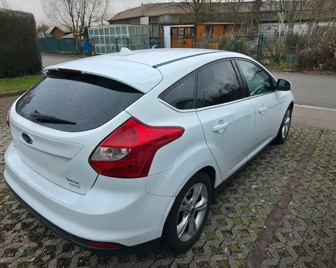 Gebraucht Ford Focus 125 PS (91 kW) 2013 Weiß Kleinwagen