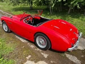 Gebraucht Austin Healey 100 90 PS (66 kW) 1954 Rot Cabrio