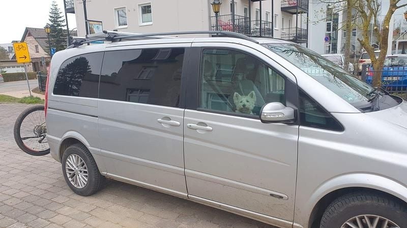 Gebraucht 2008 Mercedes Viano Van / Kleinbus | 7.800 € (Guter Preis) - Bild 1/4