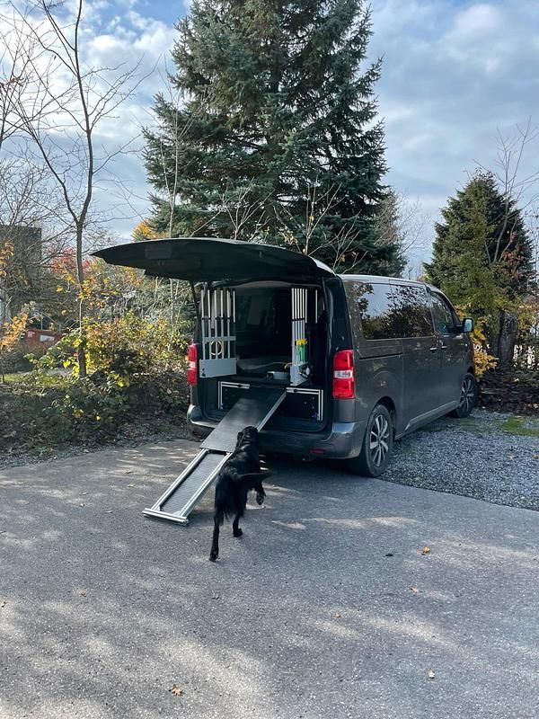 Grau Gebraucht 2020 Toyota Proace Verso Executive Kombi | 35.000 € (Teuer) - Bild 1/4