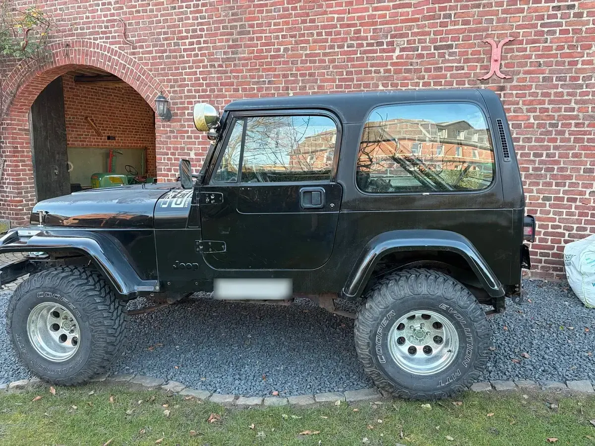 Gebraucht Jeep Wrangler 121 PS (88 kW) 1994 Schwarz SUV