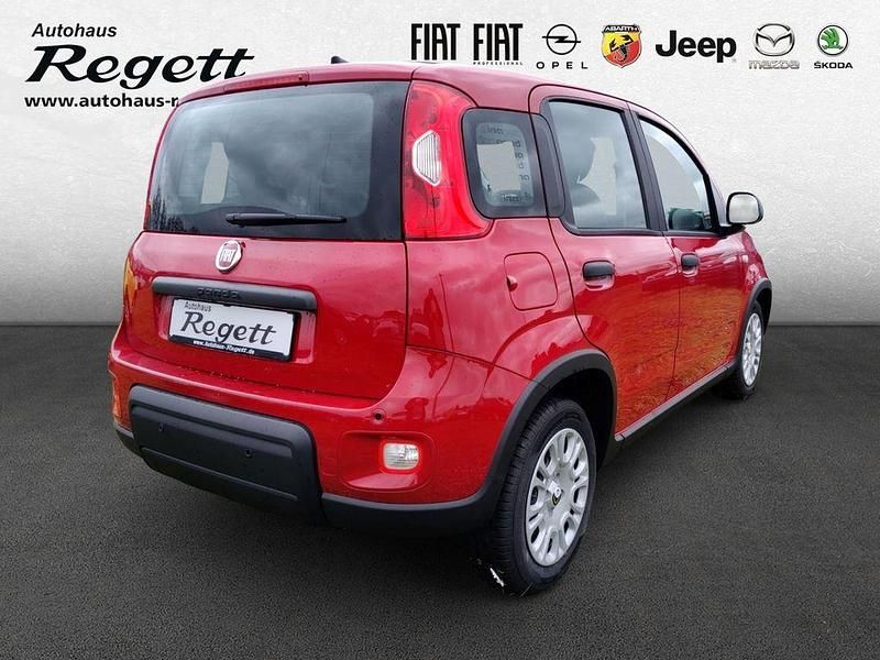 Usata Fiat Panda 69 CV (50 kW) 2024 Rosso Utilitaria