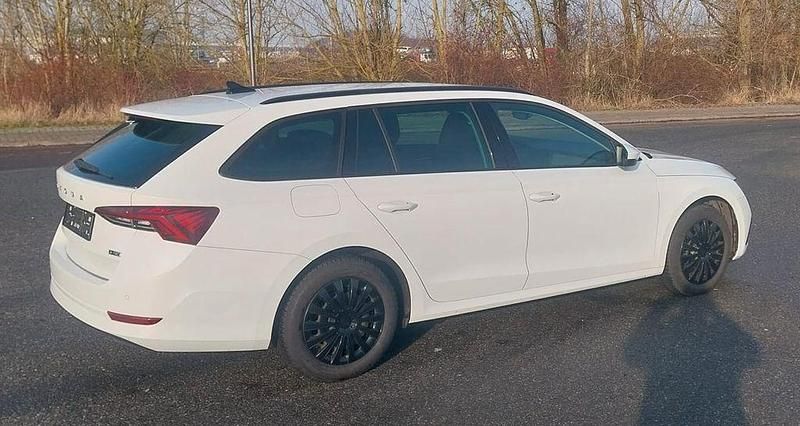 Gebraucht Skoda Octavia SE 150 PS (110 kW) 2024 Weiß Kombi