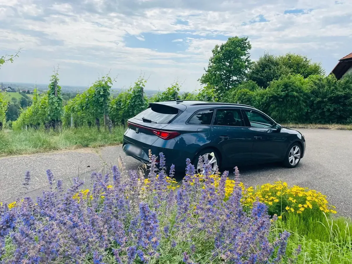 Gebraucht Seat Leon ST Beats 150 PS (110 kW) 2022 Andere farben Kombi