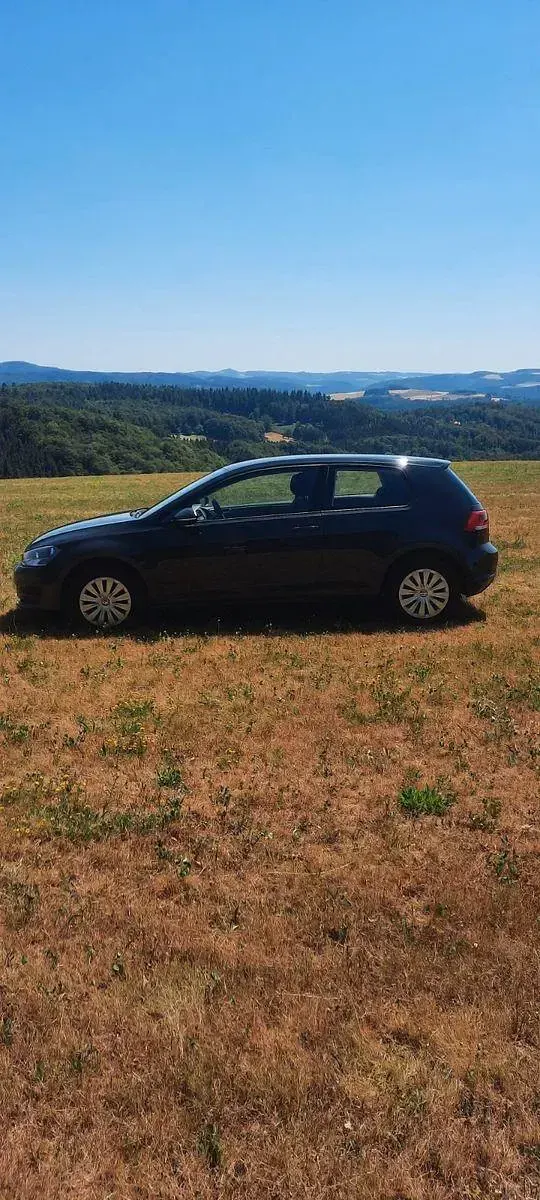 Gebraucht VW Golf VII Trendline 86 PS (63 kW) 2014 Grau Limousine