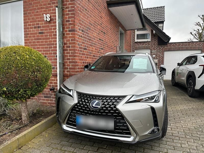 Gebraucht Lexus UX 250h Launch Edition 184 PS (135 kW) 2020 Silber SUV