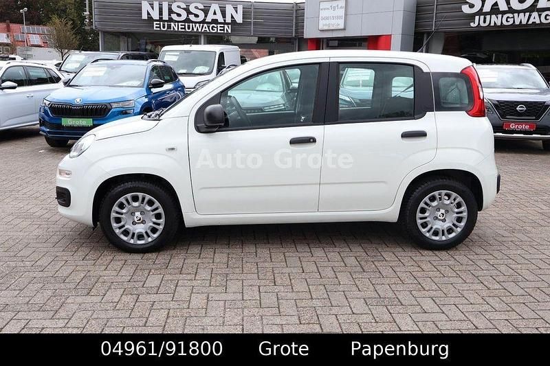 Neu Fiat Panda 69 PS (50 kW) 2025 Weiß Kleinwagen
